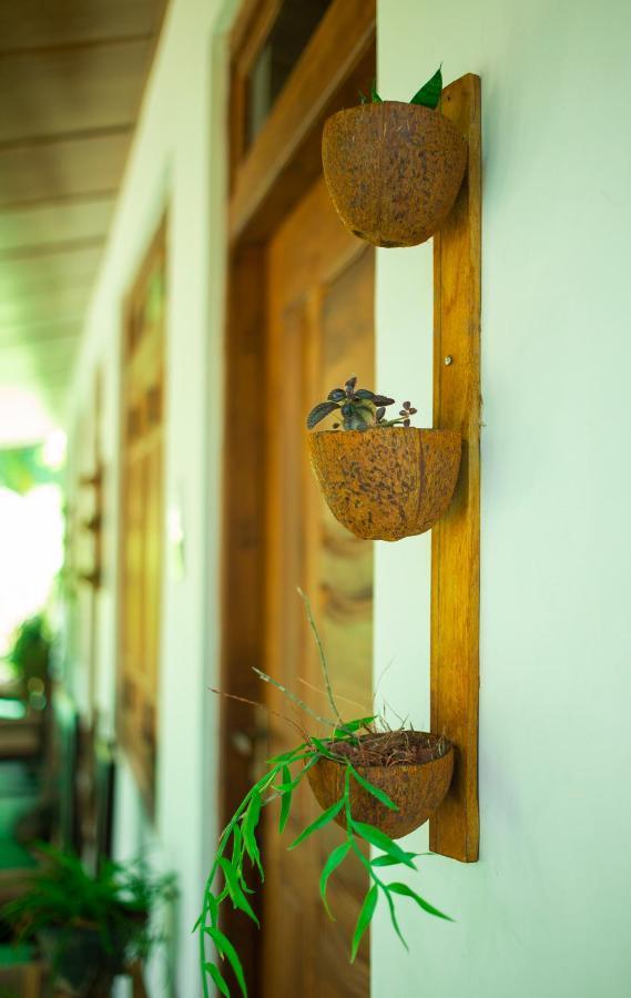 Dambulla Kings Inn Экстерьер фото