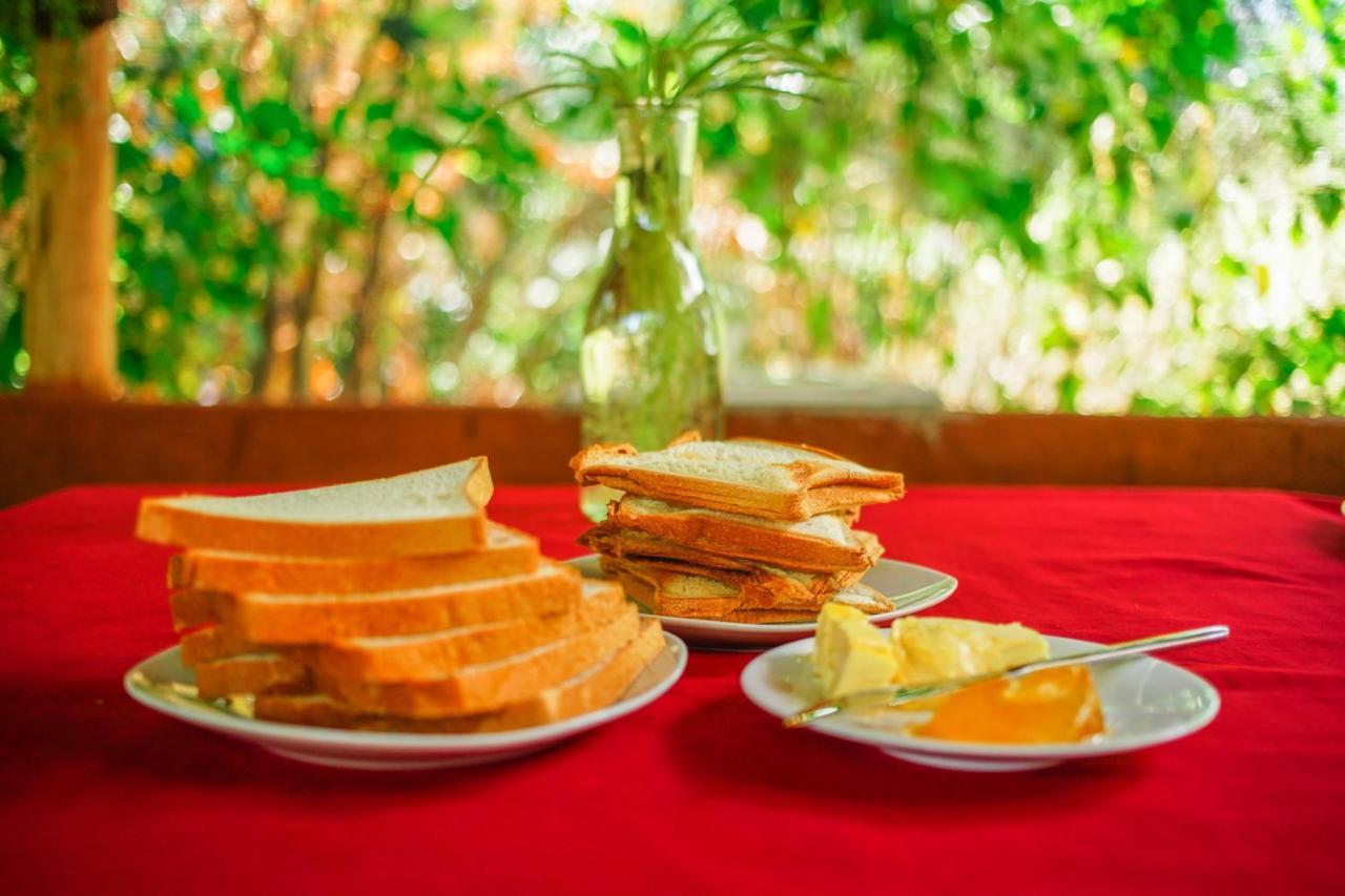 Dambulla Kings Inn Экстерьер фото